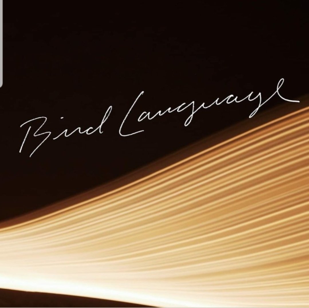 birdlanguageMA's tweet image. You've streamed "First Date" all week, now add it to your collection via @Bandcamp #BandcampFriday 
birdlanguageMA.bandcamp.com
