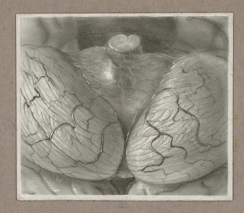 OslerLibrary's tweet photo. We are physically closed while we move back to the McIntyre Medical Building, but our collections are still #YourArchive. Browse the items made universally accessible by our #DigitalInitiatives colleagues:
https://t.co/09akjUCukD

#Archive30 #OslerLibraryArchives https://t.co/Fr2YLKHmbQ