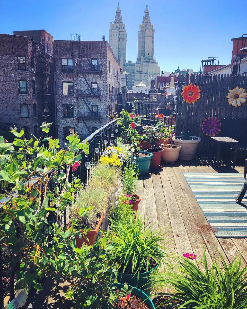 Bethany Crystal tweet media