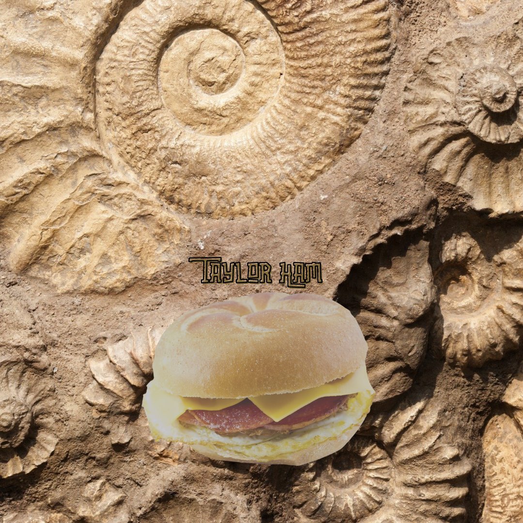 NewJerseyDEP's tweet photo. BREAKING 📰: The Debate is Over: DEP Discovers a Fossil Confirming it's 'Taylor Ham' not 'Pork Roll' 

➡️ Learn more at https://t.co/UsGXDjUIJT https://t.co/hqPYnNgxoF