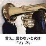 「言え、言わないと次はソだ。」チューバで脅してくる女の子。