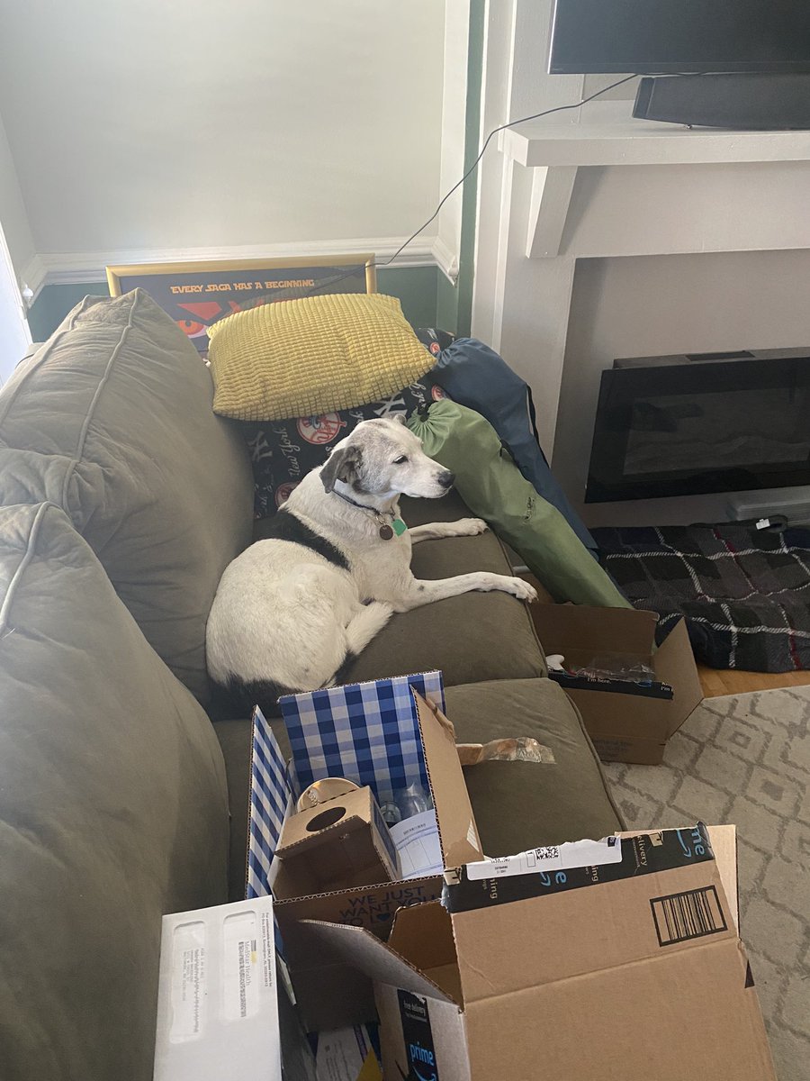 Hannah Breedlove tweet media