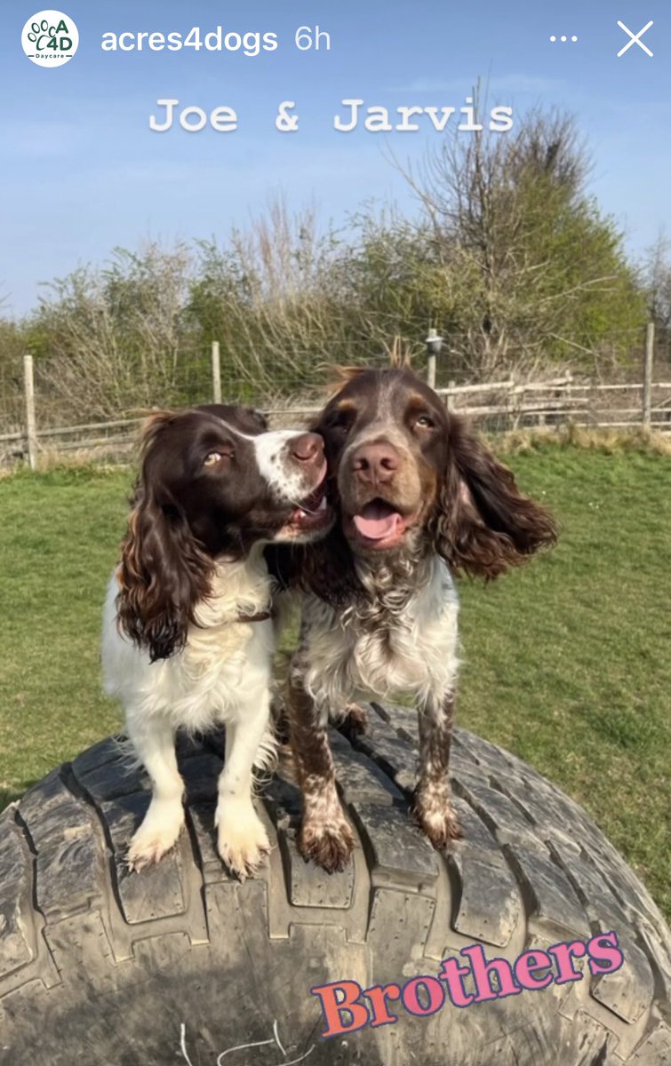 iain_w_anderson's tweet image. After the last week or so - I can’t wait to see our boys #JoeJarvis ❤️🙏