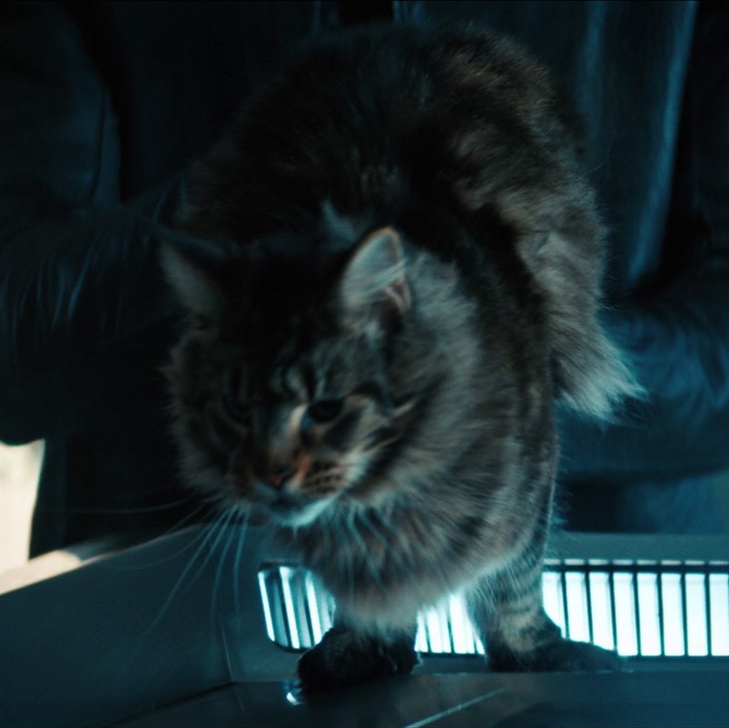 [3x1 - 'that hope is you, part 1']