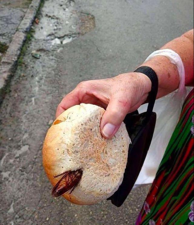 eugenitooh's tweet photo. El pan y la leche juntos 🦗🍞 https://t.co/sifYiiUcNx