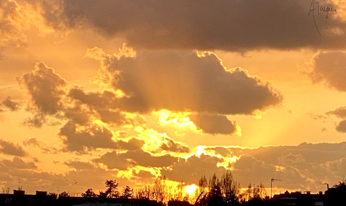 anne_margerie's tweet photo. Il suffit souvent d’être #aubonendroitaubonmoment et de #saisirlinstant savoir #ouvrirlesyeux sur les #merveillesdelanature et c’est le #festival comme ce soir #deauville #photo #photography #photooftheday #Photographie #PhotographyIsArt #ciel #cielorange #galeriedart #cielrose https://t.co/dkt1weO9CW