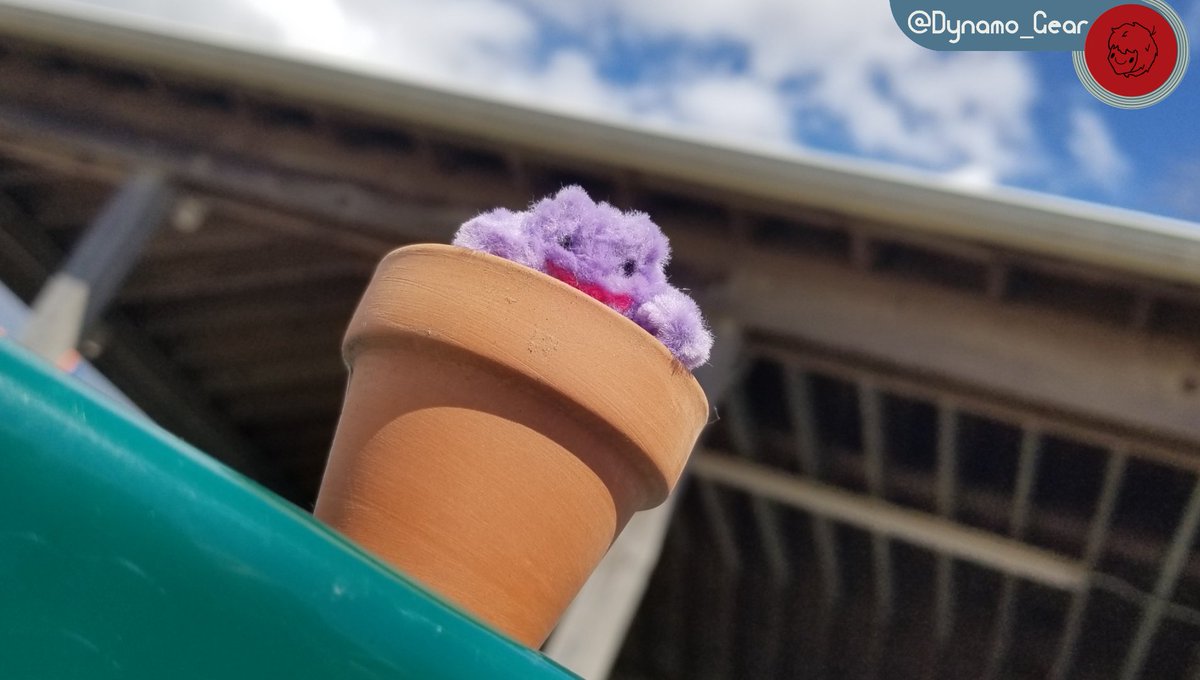 Dynamo_Gear's tweet photo. Did you know?
Ditto takes the shape of whatever container it's in :)
#PokemonGO #Project151 @PokemonGoApp https://t.co/7fyP9fFJ0v