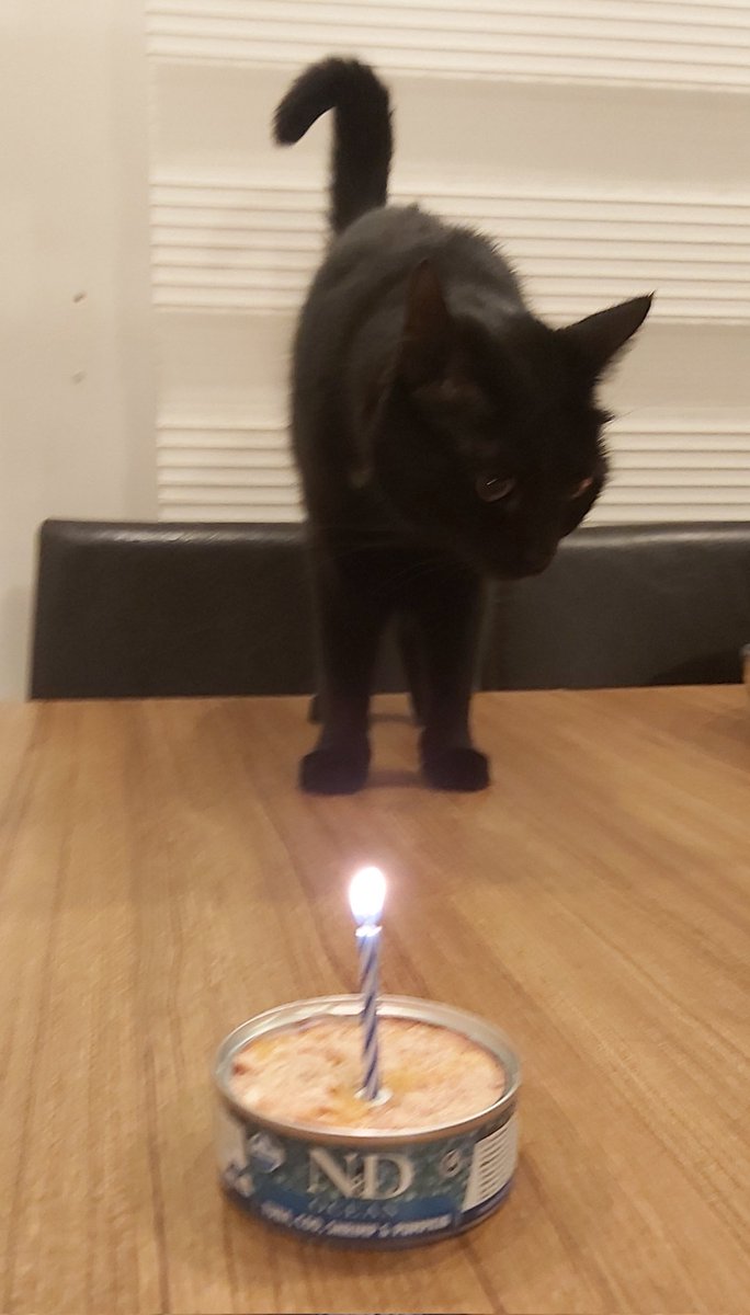 marypraysforme's tweet photo. minik prensesim bugün 4 yaşına girdi 🐣🎂🥳🖤 https://t.co/zaPow7Xjrc