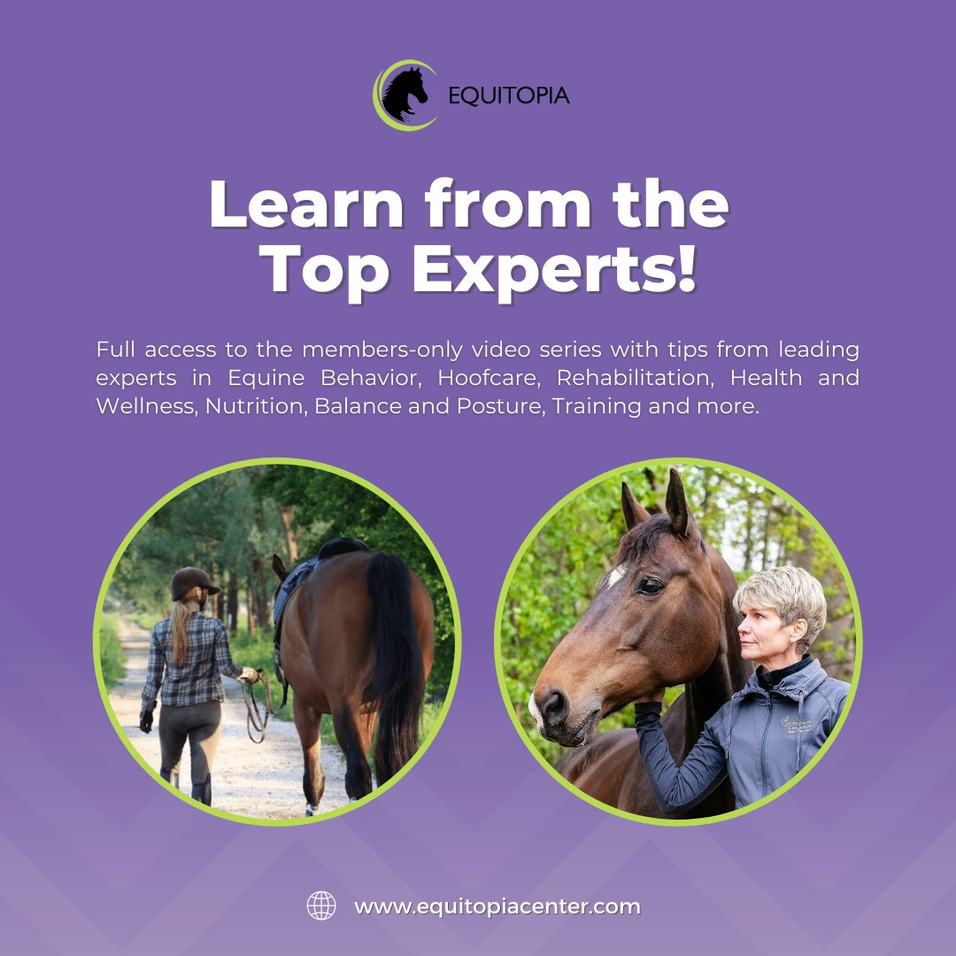 Equitopiacenter's tweet photo. Attend our regular live webinars 👩🏻‍💻🗣 on topics proposed by our members and be connected with some of the best-known experts in the industry. 🏇

Don't miss out on this opportunity now!⚡️Learn more about our affordable and high-quality classes! https://t.co/RgjKVhbRor https://t.co/dtWH6vdikz