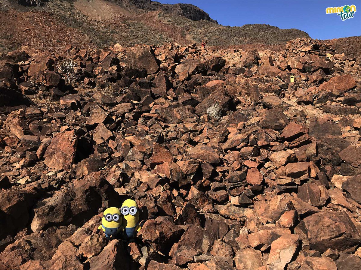 MiniOnTourES's tweet photo. ¡Flipa con el montón de piedras que nos hemos encontrado en #Arteara! 😮 ¡Qué nooooo! Estamos en una #necrópolis amigui y es alucinante 😊. Está en #GranCanaria y te hablamos de ella aquí 👉 https://t.co/lq5E4VtfJL @turismogc @GranCanariaCab @GranCanariaTur @Maspalomas @AytoSBT https://t.co/7VtBt6JiLC