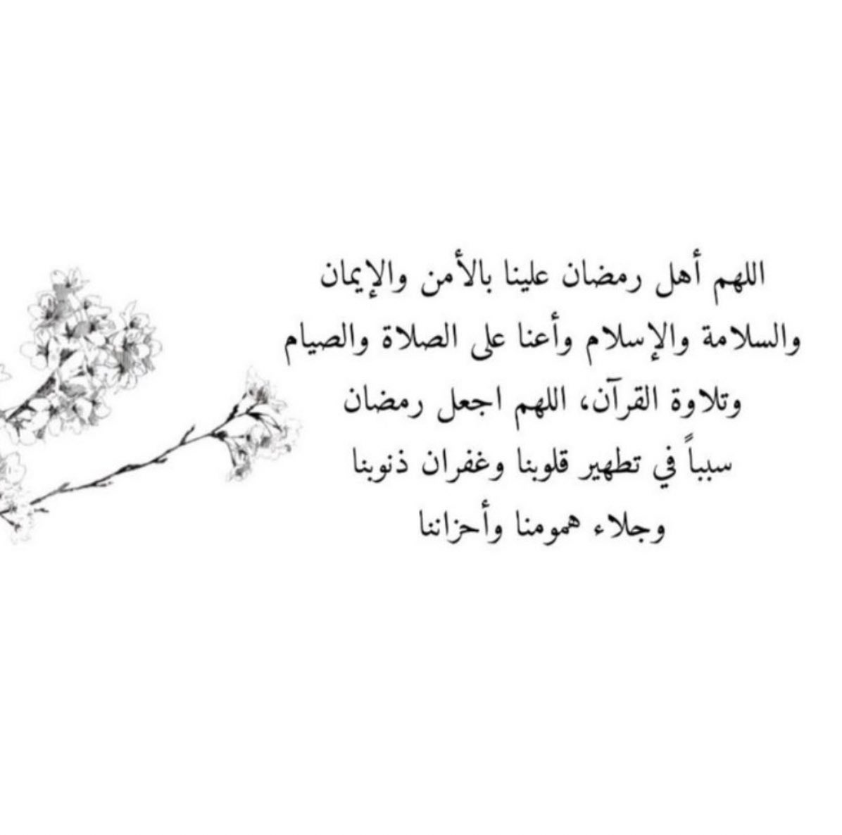 jei1096's tweet photo. #مبارك_عليكم_الشهر https://t.co/oGRaJxLiza