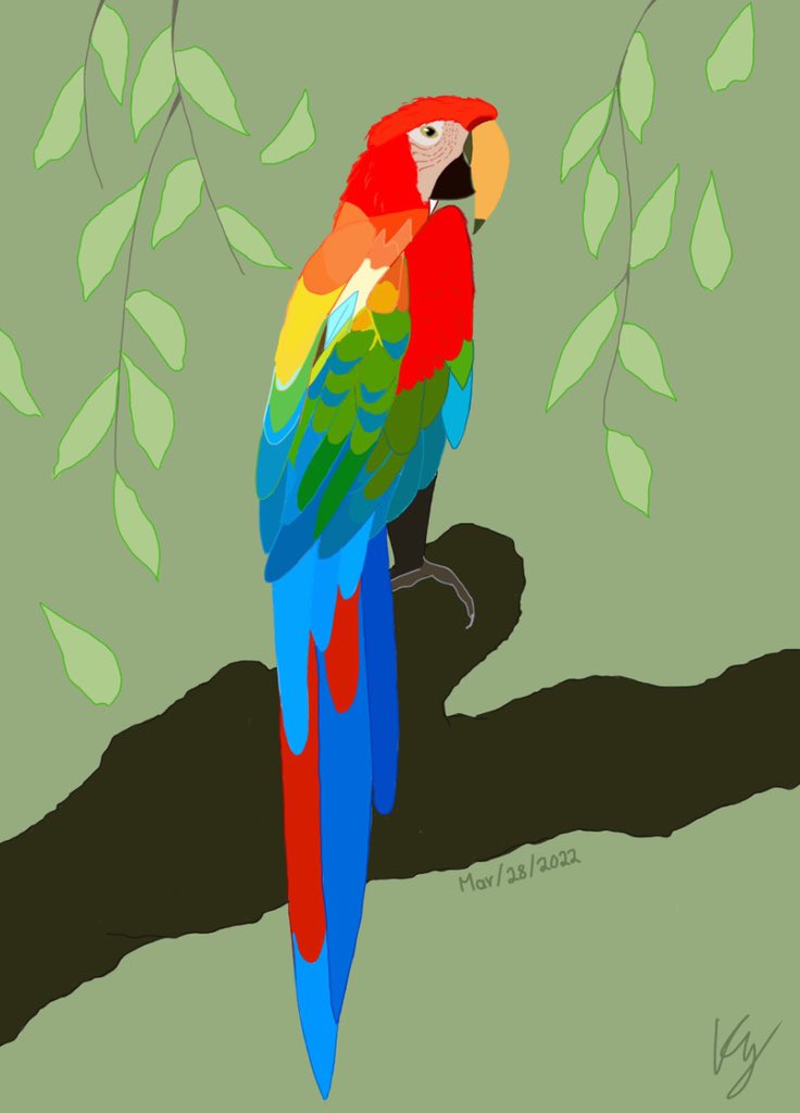 I’m taken aback at these stunning colourful birds that won <a href="/GreenbriarMS678/">GreenbriarMS</a> ’s Animal, Dinosaur &amp; Pokémon Art Contest. Created by grades 6 and 7 students. <a href="/anna_taormina/">Anna Taormina</a>