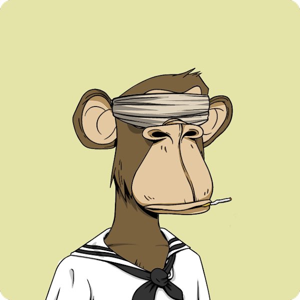 ipano_ipano's tweet photo. Current gang of primates @BoredApeYC https://t.co/o9UEdh9egh