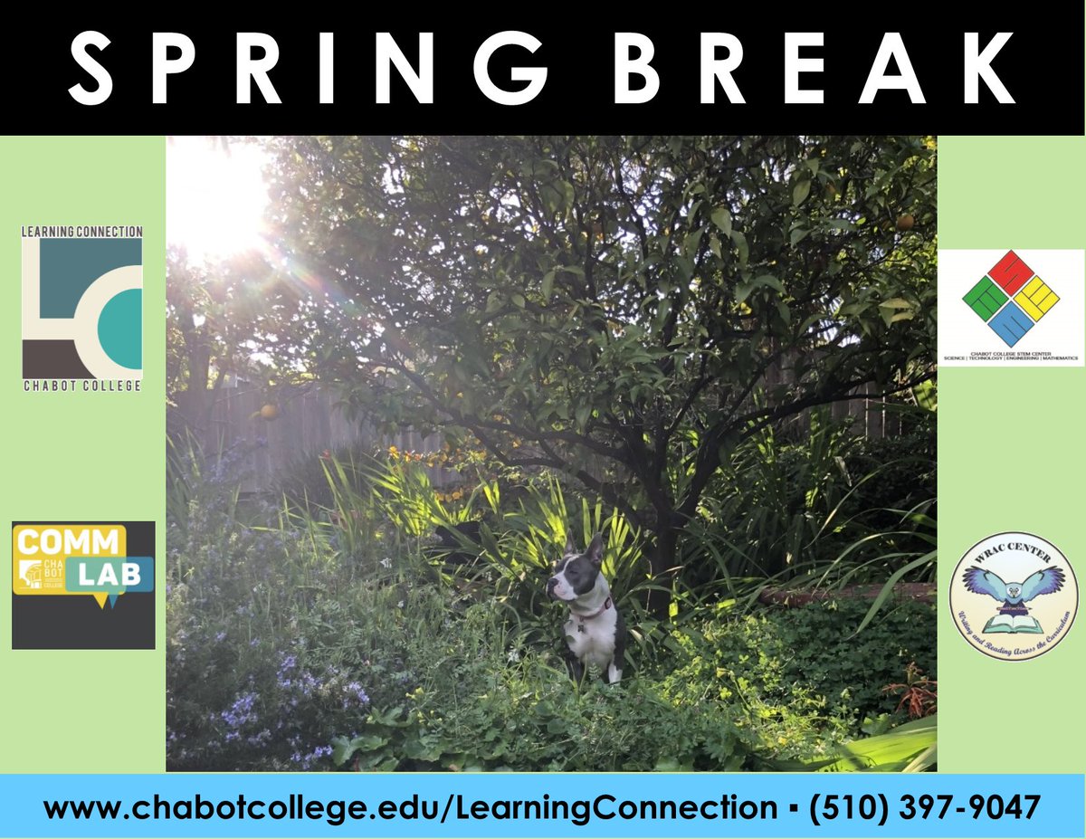 Chabot_LC's tweet image. Spring is here! We hope you all enjoy your break!
#chabotcollegelearningconnection #chabotlearningconnection #learningconnection #chabotcollegecommlab #chabotcommlab #chabotcollegestemcenter #chabotstemcenter #chabotcollegewraccenter #chabotwraccenter #chabotcollege #chabot