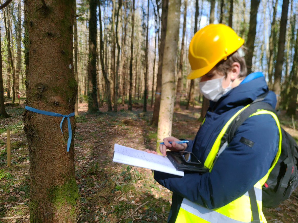 Linking #timbertechnologists with timber source - #forest. Today, #TU838 students @DSA_TUDublin  gained hands on experience using #marteloscope. Great discussions on #treebreeding & #continouscover #forestry. Thank you @Frances1312 @Fergus_Price @DRaj_Rathore @teagascforestry
