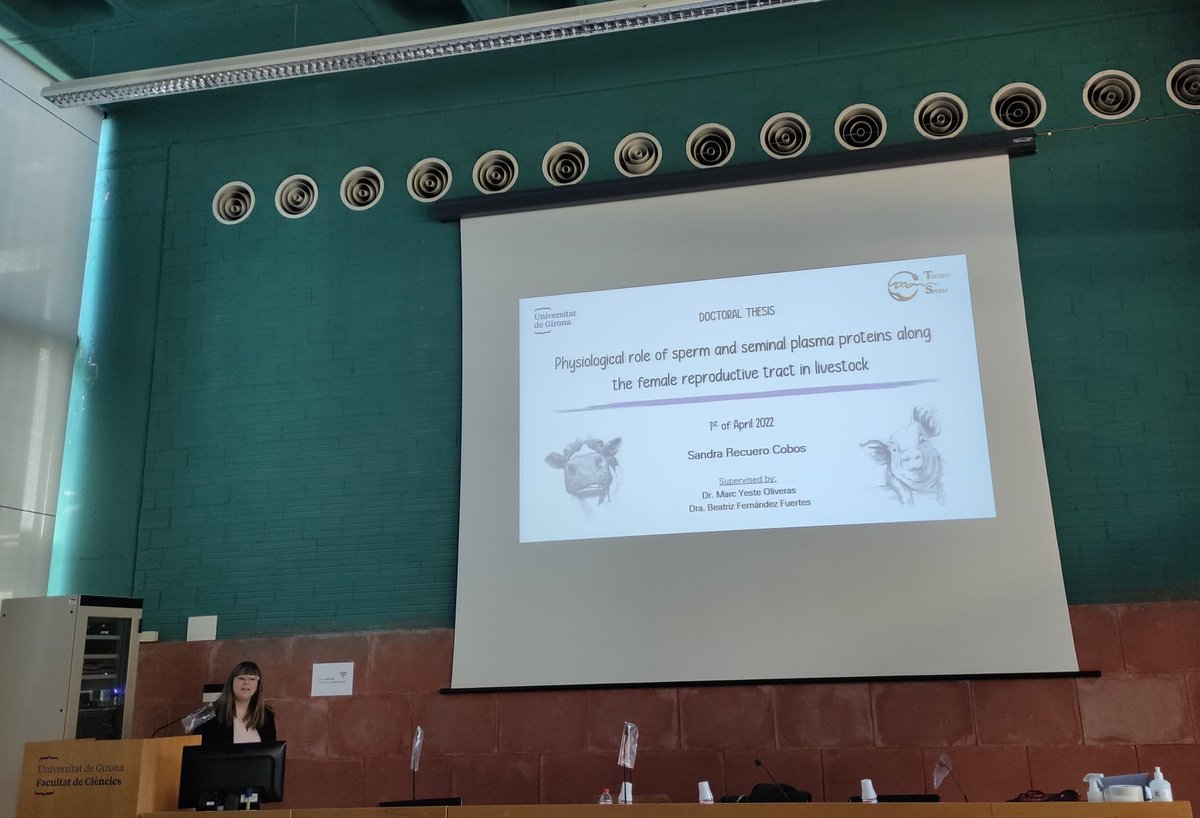 TechnoSperm's tweet photo. Avui la @SandraRecuero05 s'ha convertit en doctora! Ha defensat la seva tesi doctoral sobre el paper dels espermatozoides i el plasma seminal en el tracte reproductor femení.  Moltissimes felicitats Dra. Recuero!! Estem orgullosos de tu! 💪♥️ https://t.co/FUheHJv4J2
