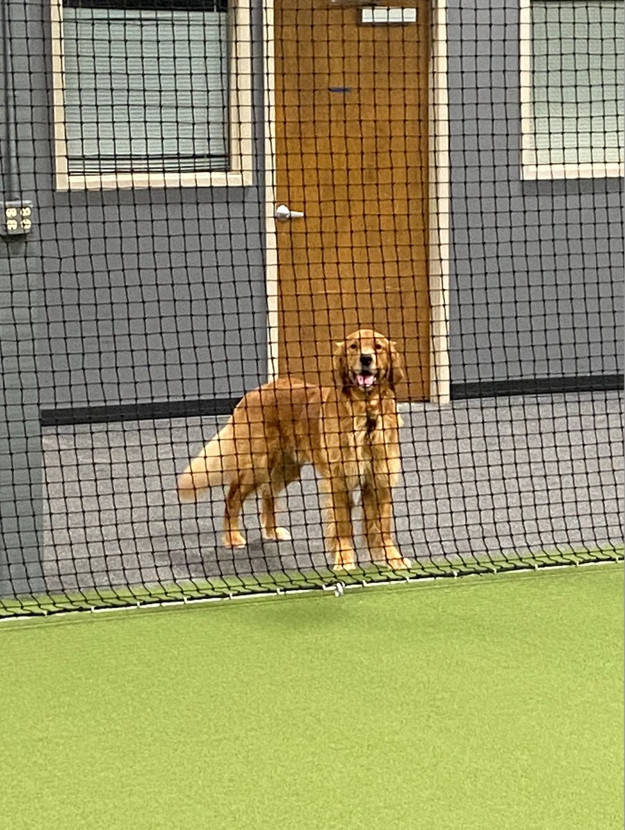TreadAthletics's tweet photo. We're hiring!🚨

Position: Facility Dog Walker
Location: Charlotte, NC
Starting salary: $48k + Benefits
Benefits: Healthcare, Vision, Dental + 401(k) matching
Status: Full Time
Start: ASAP

Know anyone working in baseball who should see this? 

Tag them &amp; RT this! Details⬇️ https://t.co/HhkcBq9Bii