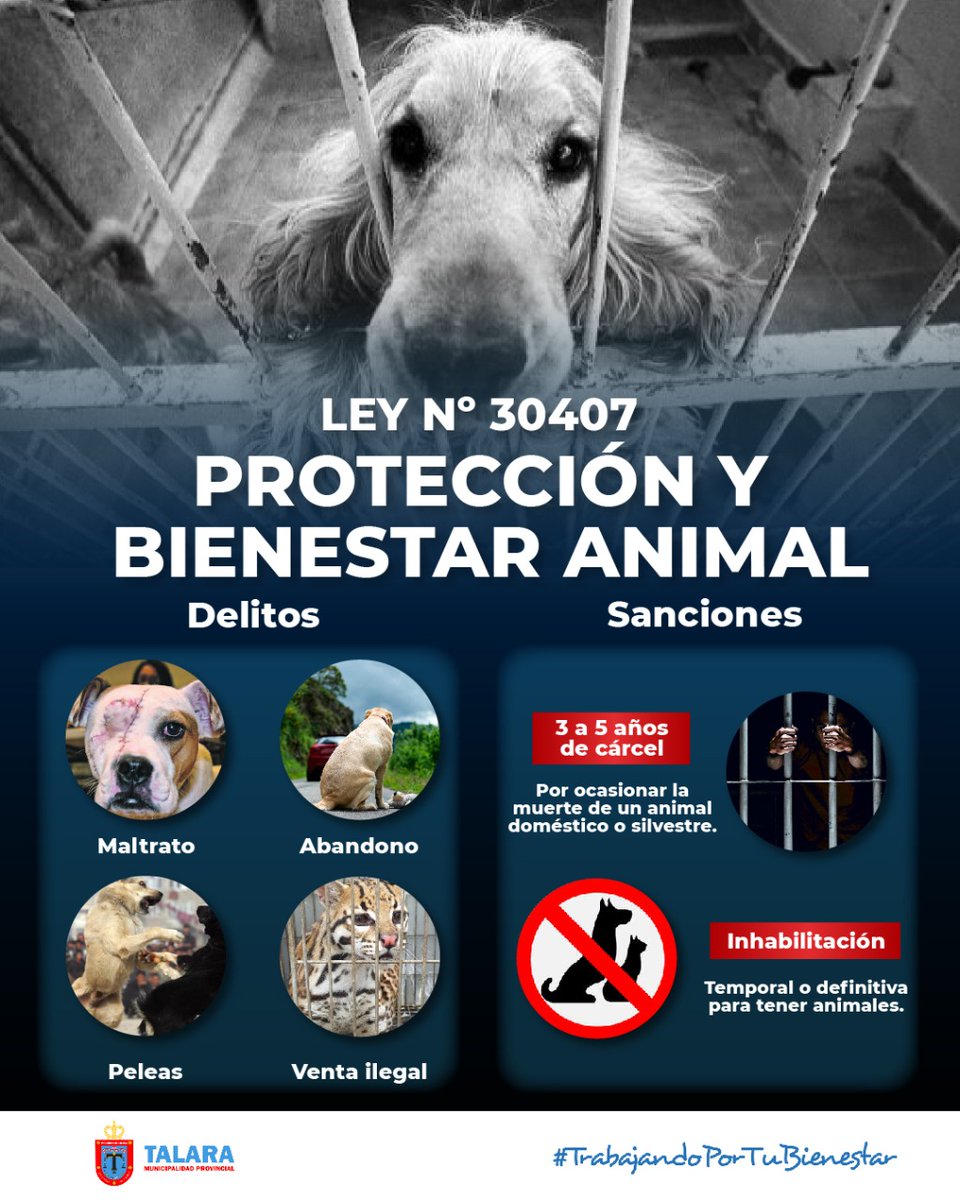 munitalara_pe's tweet photo. #MPTInforma | La MPT se compromete con el cuidado y protección animal y le recuerda a todos los vecinos que se encuentra vigente la Ley n° 30407, que establece las condiciones necesarias para brindar #protección a las especies de #animales domésticos 🐶 o silvestres 🐢. https://t.co/2LrmLXGNcW