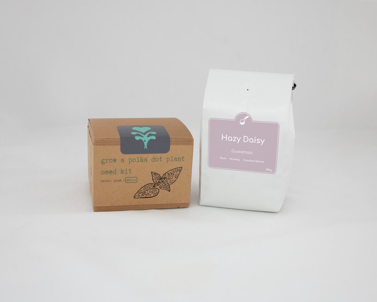 LetsGetLexi's tweet photo. This one is for all our coffee-loving, plant parents! ☕️🪴

This month’s gift set is our Hazy Daisy Coffee &amp; Plant Kit. A portion of proceeds benefit @onetreeplanted, a nonprofit committed to planting one tree for every dollar donated. 

Shop now at https://t.co/xDIMwcFsG3 https://t.co/qKX9bDz7VR