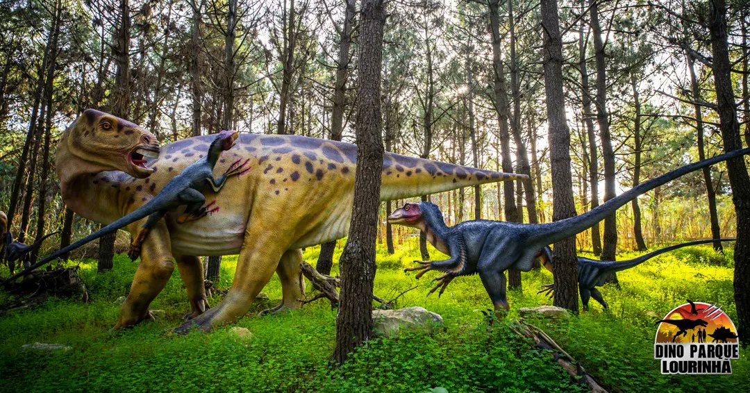 alentejo_1970's tweet photo. Marine animals, dinosaurs and the country in miniature: there are many activities perfect for children from north to south of #Portugal 

#Oceanário #Lisboa
#DinoParque #Lourinhã
#PortugaldosPequenitos #Coimbra 
#WorldofDiscoveries #Porto https://t.co/8cjfcTLoKn