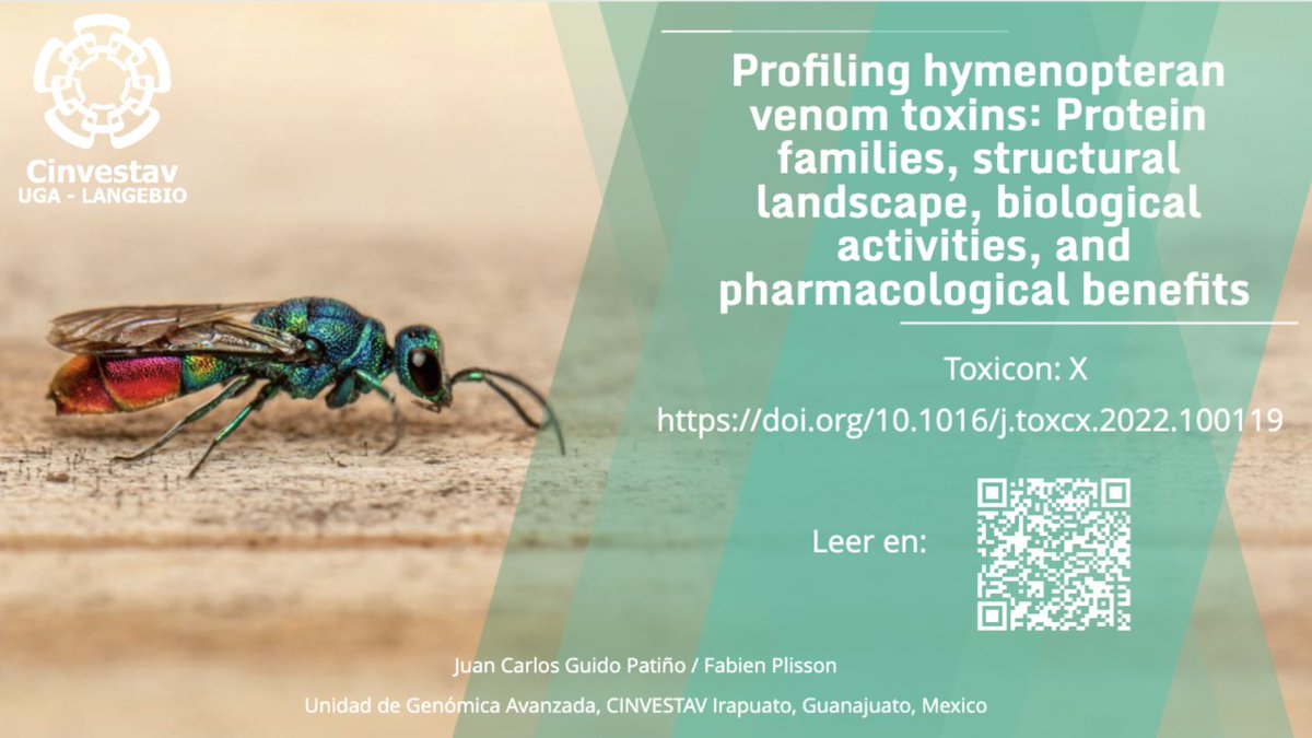 🔷Les invitamos a leer el review: "Profiling hymenopteran venom toxins: Protein families, structural landscape, biological activities, and pharmacological benefits" del Dr. @FabienPlisson investigador de la UGA-Langebio y <a href="/JuanGuidoPat/">Guido Pat</a> estudiante de doctorado en @peptidicos.