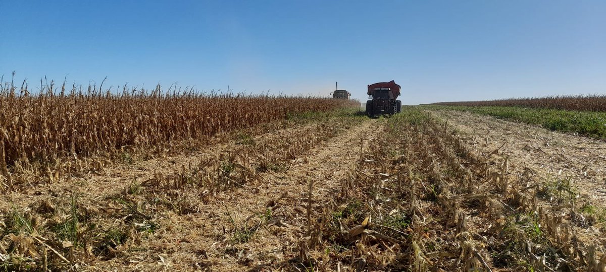 Integral Agropecuaria SRL tweet media