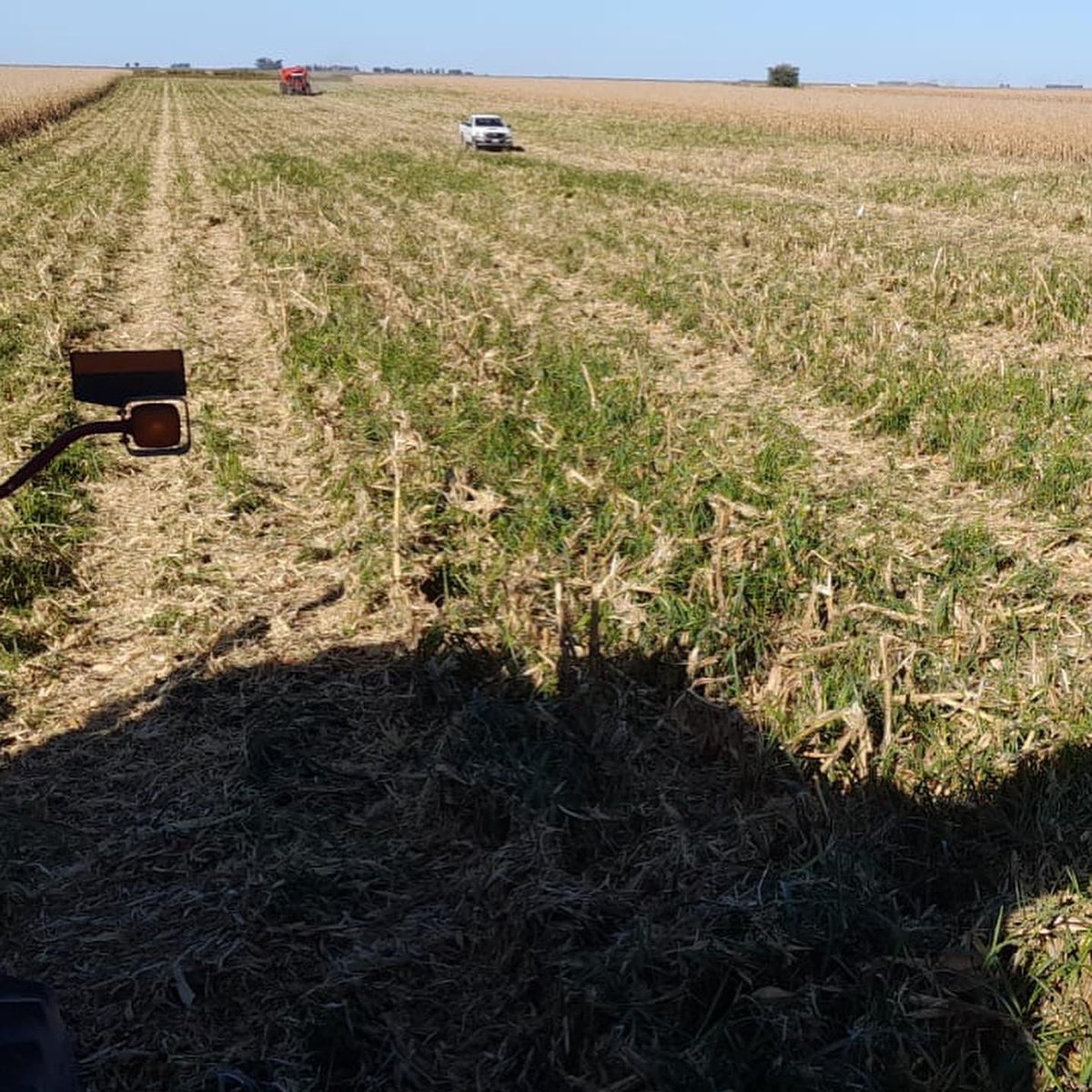 Integral Agropecuaria SRL tweet media