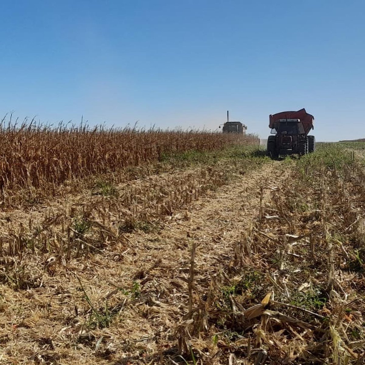 Integral Agropecuaria SRL tweet media