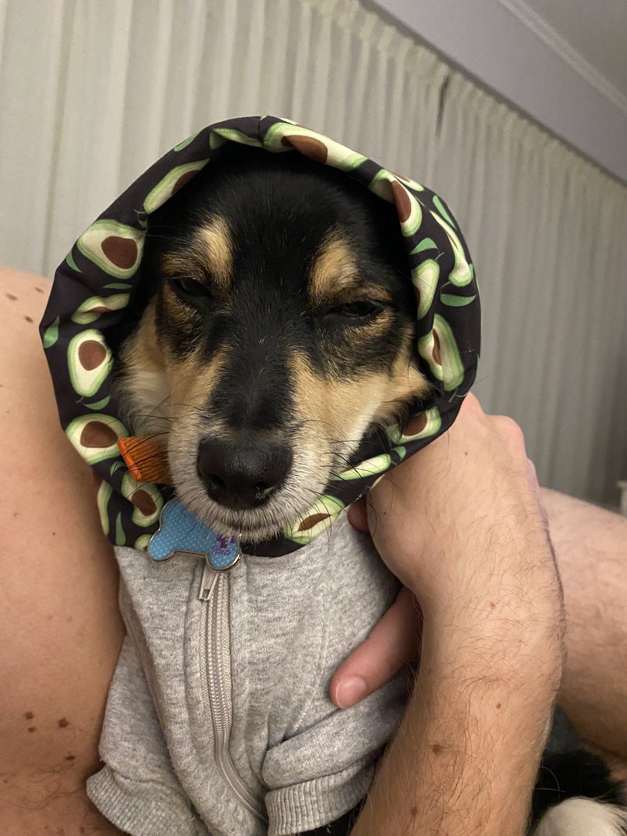sofiaguelman's tweet photo. Snoop dog https://t.co/wmaXaaBbaO