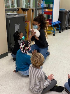 CREC_Reggio's tweet photo. Our Kindergarten classes were able to end the day with a special visit from the Roaring Brook Nature Center. They were able to see several animals and creatures. We are so grateful to have had this experience and to learn more about the animals around us. Thank you Roaring Brook! https://t.co/I5yQfAD8xP