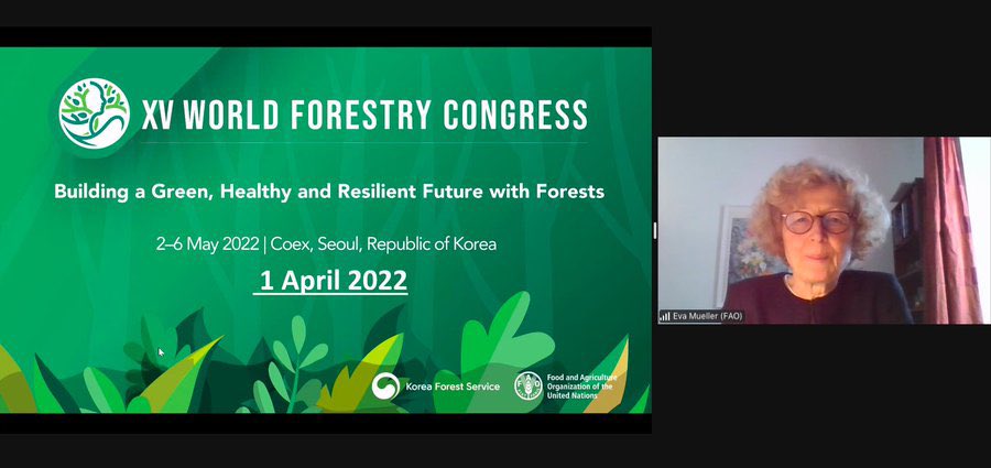 MalamineBadian8's tweet photo. Digital and social Media Lab
Day 2โ
From Ideas to Action
I would like to thanks the @RECOFTC and @FAO team for organizing this Lab, Thank you Pier @PAPirani and @mila_sop for facilitating this fruitful discussion. Looking forward to meeting you in Seoulโบ๏ธ
#WFCKorea #WFCLab https://t.co/jbrZ7WKgYc