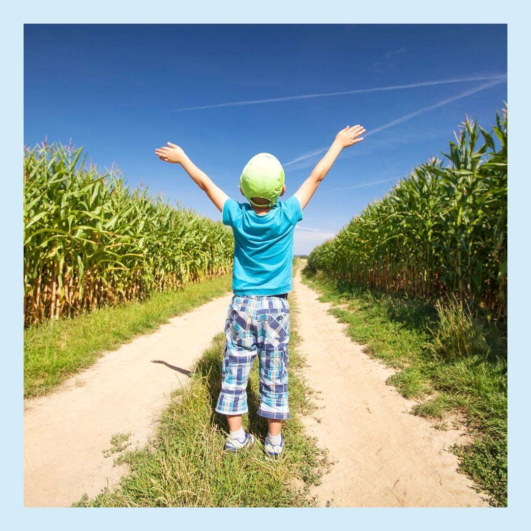 DirectFood.store tweet media