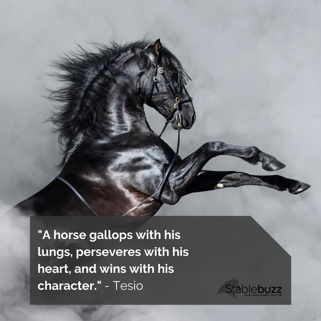 stablebuzz's tweet image. “A horse gallops with his lungs, perseveres with his heart, and wins with his character.” – Tesio

#horses #horserider #lovinghorses #equestrian #horsemanagementsoftware #stablemanagement #stablemanagementsoftware #horsequote