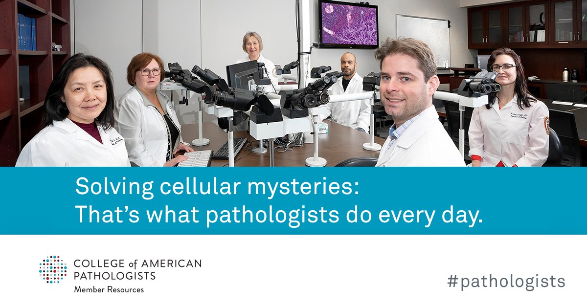 Pathologists's tweet photo. Calling all medical students: consider the exciting specialty of pathology. Learn more as part of the CAP #MedicalStudent Forum: https://t.co/eLmTaWEw1q. #path2path #PathMatch22 #MedEd #medschool #medstudent https://t.co/CJOk1TzHHK