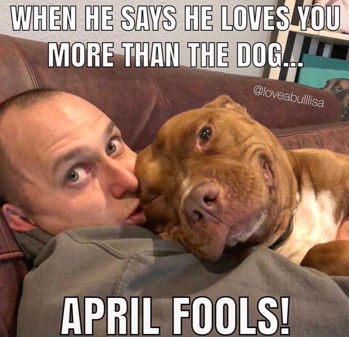 H2ONECare's tweet photo. Happy April Fools!
.
.
.
#aprilfools #handsanitizer #naturalskincare #happyfriday https://t.co/bPP99LFVEa