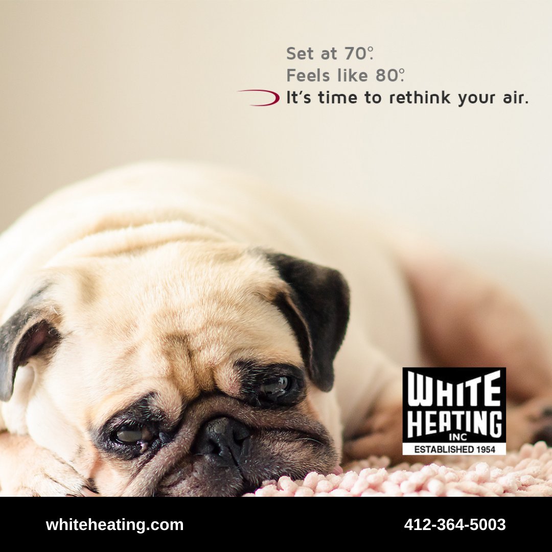 White Heating, Inc. on Twitter: White Heating, Inc. on Twitter:
