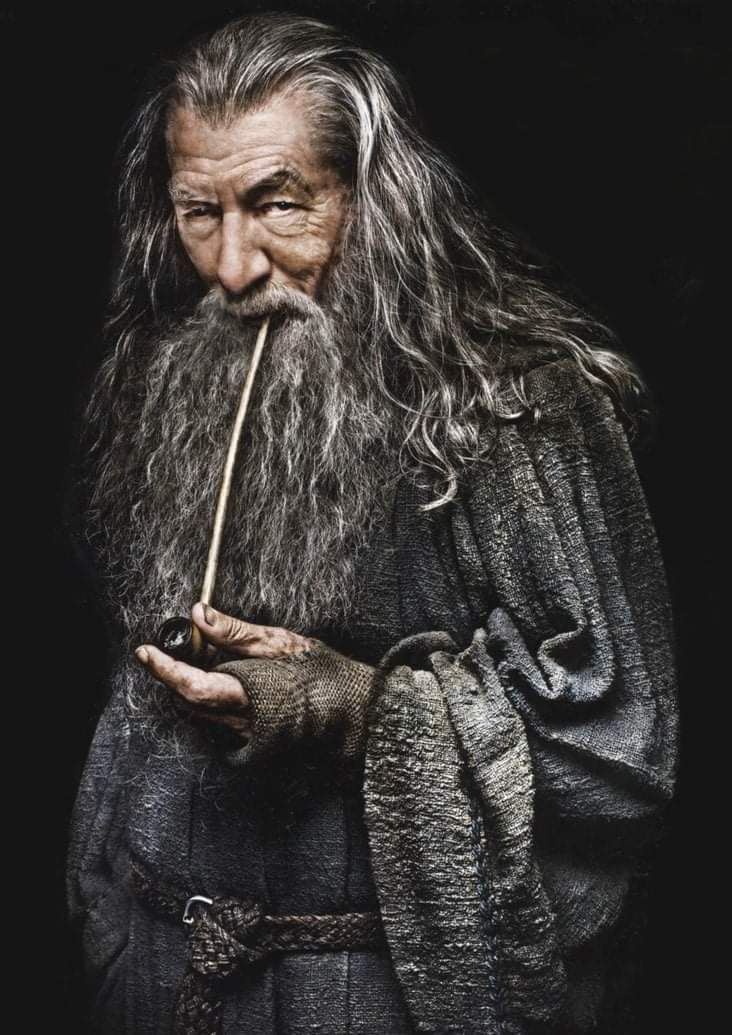 ALMFF_36037's tweet photo. "Some believe it is only great power that can hold evil in check, but that is not what I have found. It is the small everyday deeds of ordinary folk that keep the darkness at bay. Small acts of kindness and love." ―Gandalf

Artist: Paul Shipper https://t.co/DimvM7BztE