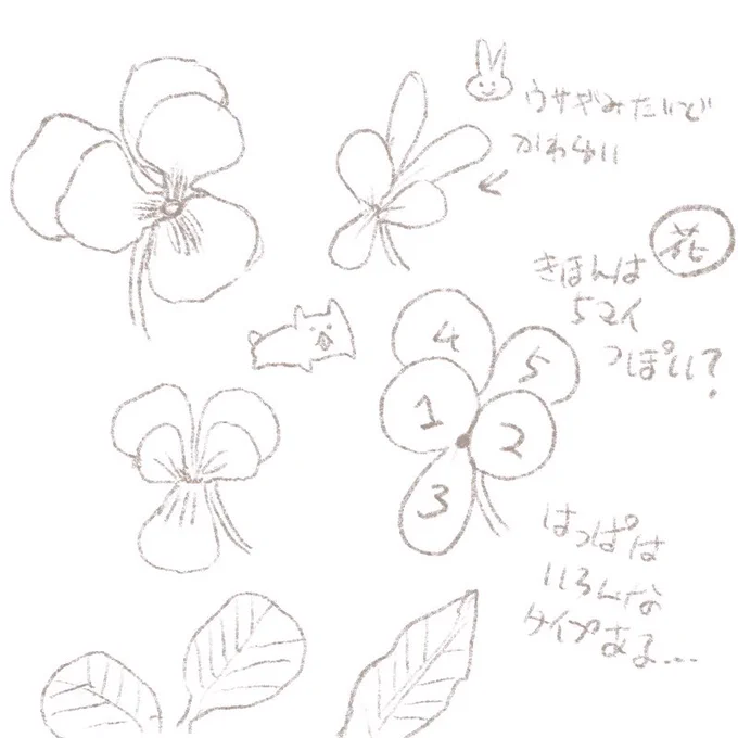 土日からは少し振り返りつつインプットと勉強週間にしたいです
暖かく晴れたら実物の草花のスケッチに行きたいな 