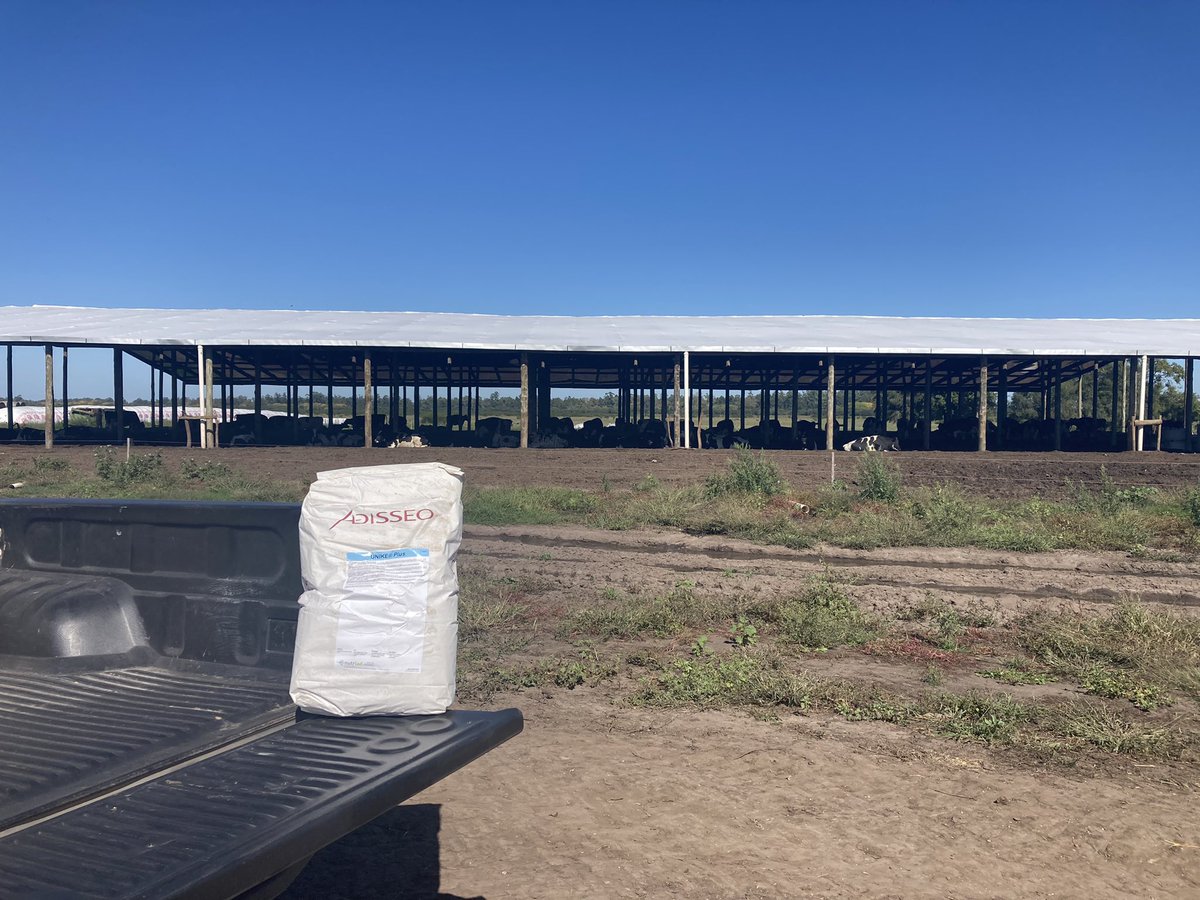 sns_uruguay's tweet photo. Sistema de #CamaCaliente protegido gracias a #UnikePlus de @Adisseo
Secuestrante de #micotoxinas de elección por el amplio secuestro que brinda y otros insumos que mejora la inmunidad de las vacas 🐮
#UnikePlus #Nutriad #Adisseo https://t.co/68gbQ3H2c1