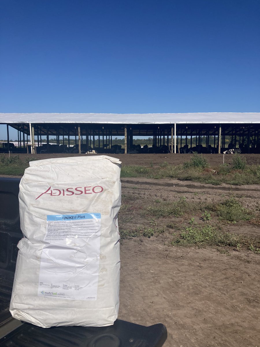 sns_uruguay's tweet photo. Sistema de #CamaCaliente protegido gracias a #UnikePlus de @Adisseo
Secuestrante de #micotoxinas de elección por el amplio secuestro que brinda y otros insumos que mejora la inmunidad de las vacas 🐮
#UnikePlus #Nutriad #Adisseo https://t.co/68gbQ3H2c1