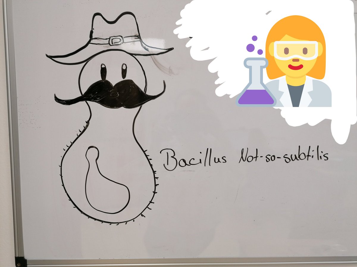 Biolojess's tweet photo. The things one does when one has to wait 2.5h for the cDNA and 1.5h for the qPCR #scienceart #pun #supercreative https://t.co/D2IxfWCuoV