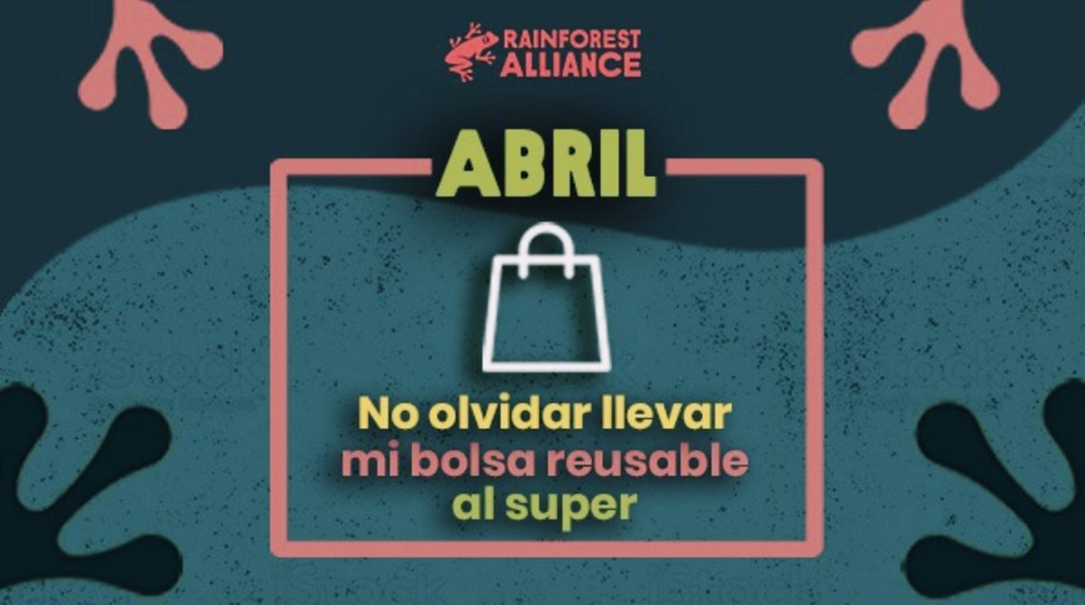 RainforestALLMX's tweet photo. Por un abril con menos contaminación por plásticos, no olvides llevar siempre tu bolsa reusable cuando vayas de shopping 🛍🛒🐸

#12DeseosAmbientales2022 #Mes4 https://t.co/1lKwXjU2wF