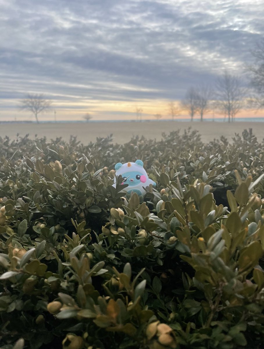 WanderingQB's tweet photo. Enjoying the sunrise while wandering around #kenosha 
#wanderingquestingbeast #sunrise #3dprint #findme https://t.co/mzFV6Gi380
