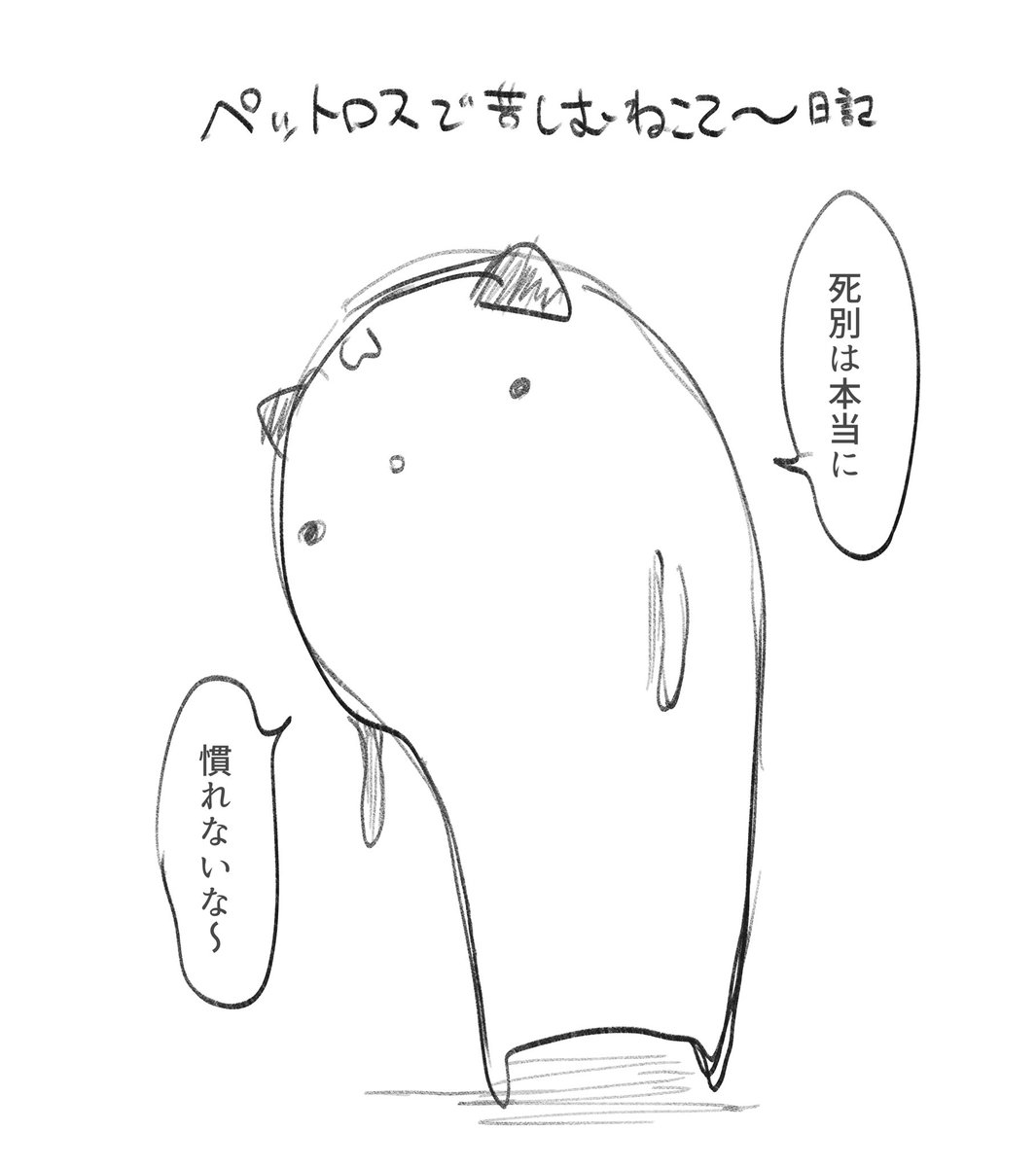 今日のねこて〜日記です 