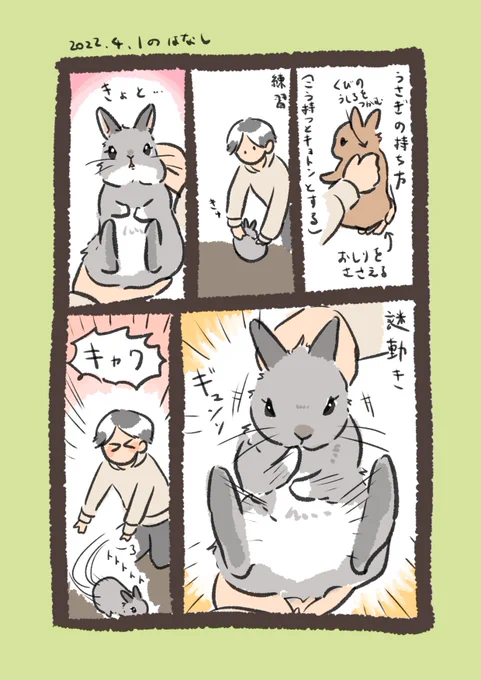 今日のrabbit…
#うさぎのいる生活 