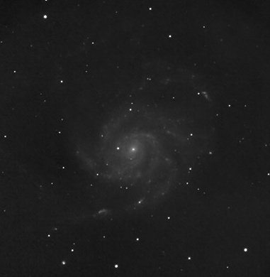 Sabelo ka Lindamkhonto vi tweet media