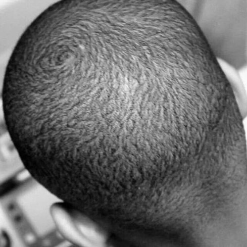 Sabelo ka Lindamkhonto vi tweet media