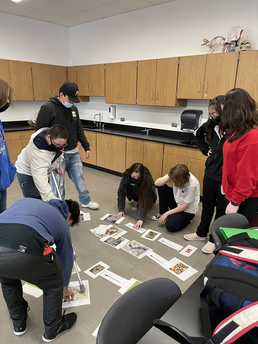 Food web activity #turner202strong #tmscometogether