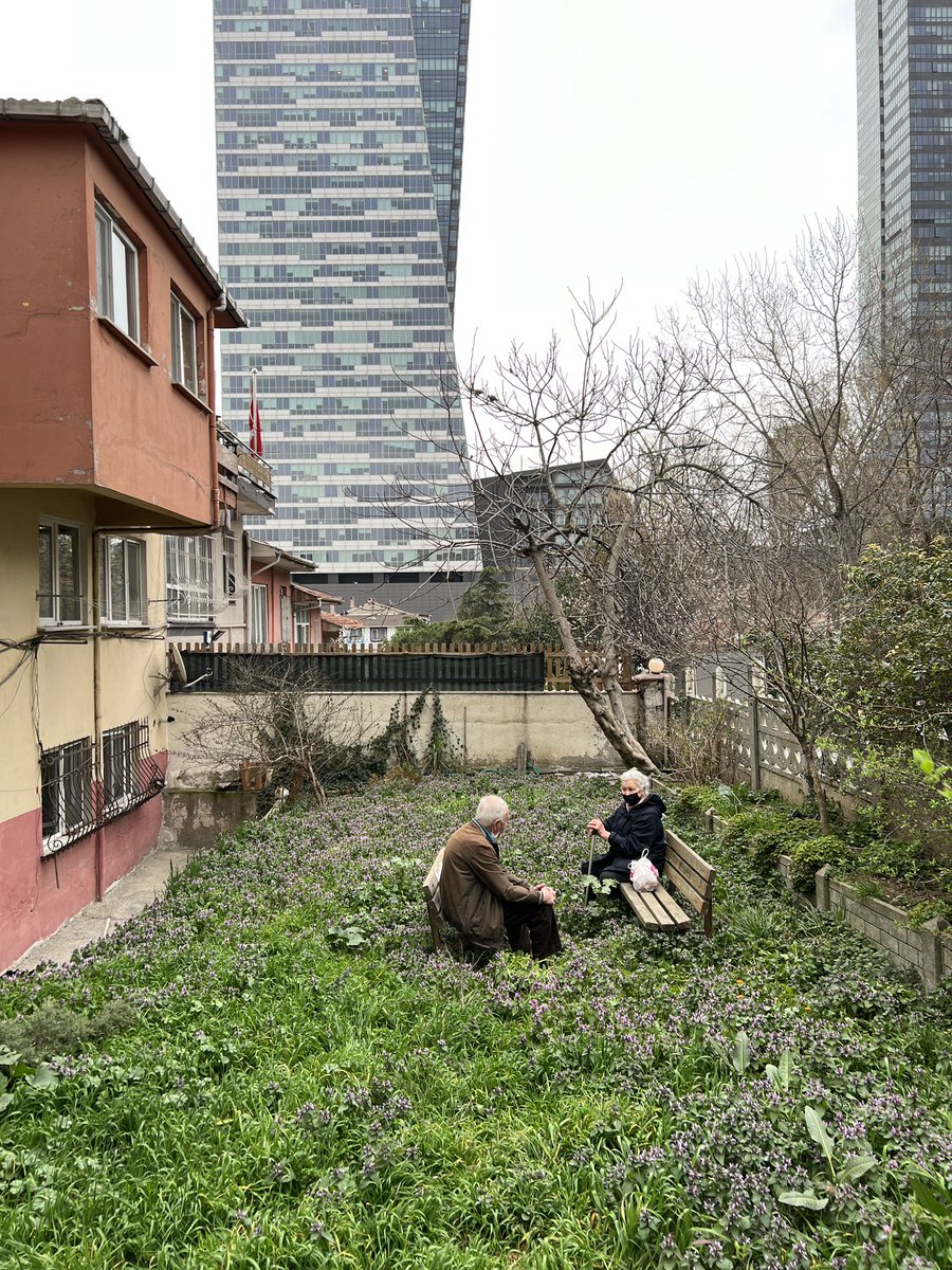 sezgiolgac's tweet photo. Mecidiyeköy diye geldim Miyazaki filmi çıktı. Dizlerine kadar çiçeklerin, otların arasına gömülmüş sohbetteler. https://t.co/wCN1NROArr