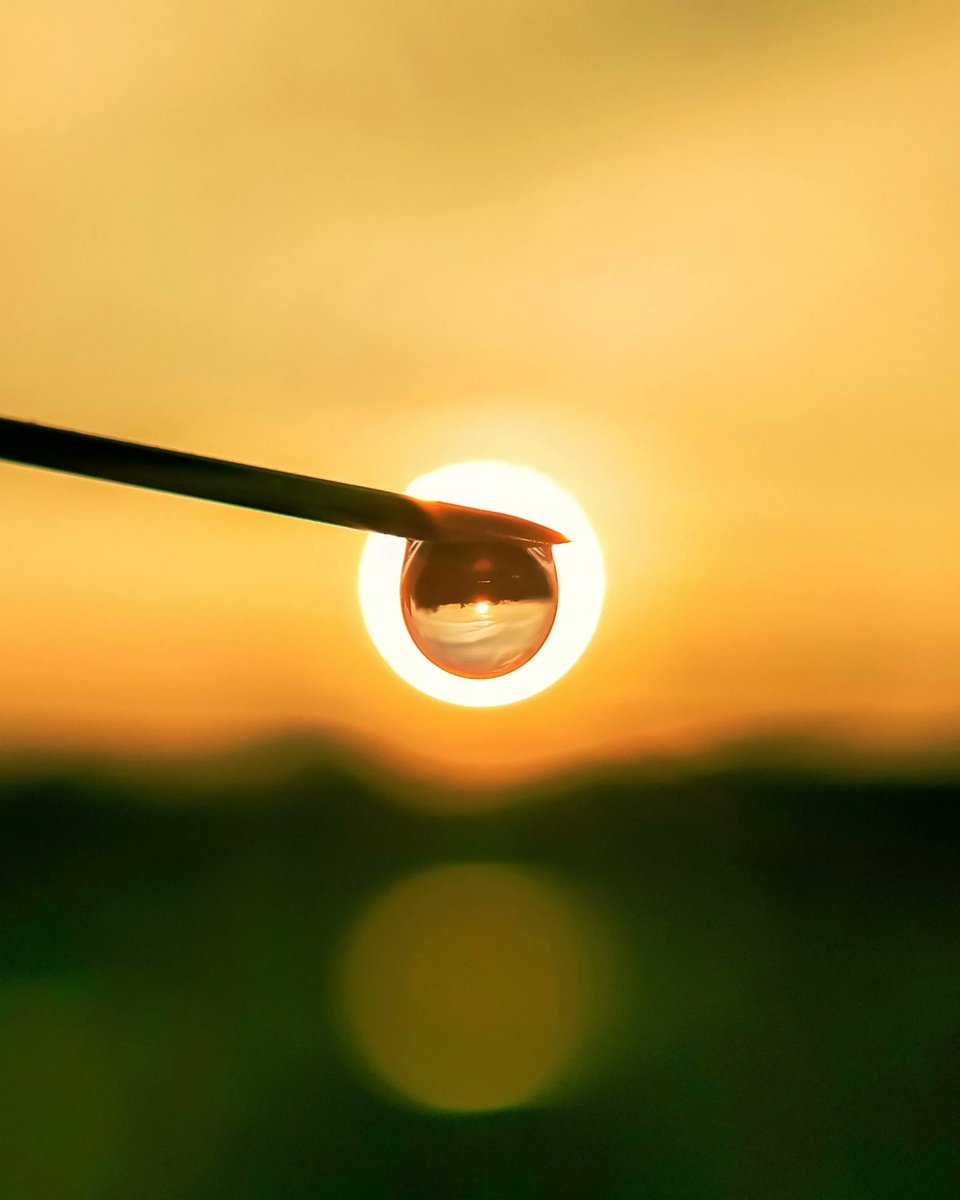 jovestone's tweet photo. Let your #sun shine! Check this month's Who Said That! #41 https://t.co/qM3sx4qz2w https://t.co/qYJqHU1keZ